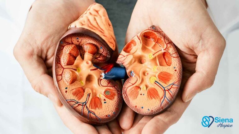 Hospice Care for Stage 5 Kidney Disease